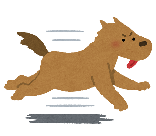 run_dog